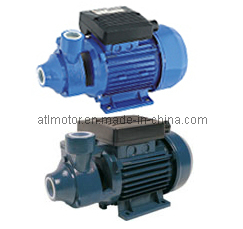 Water Pump-Peripheral Pump (IDB)